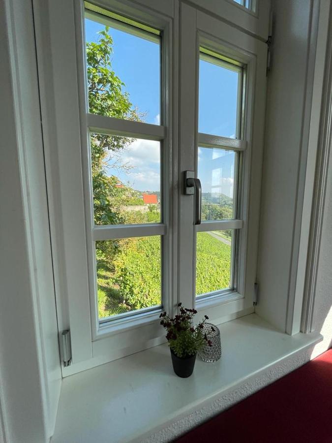 Ferienhaus Traminer Im Weinberg Freyburg Exterior photo