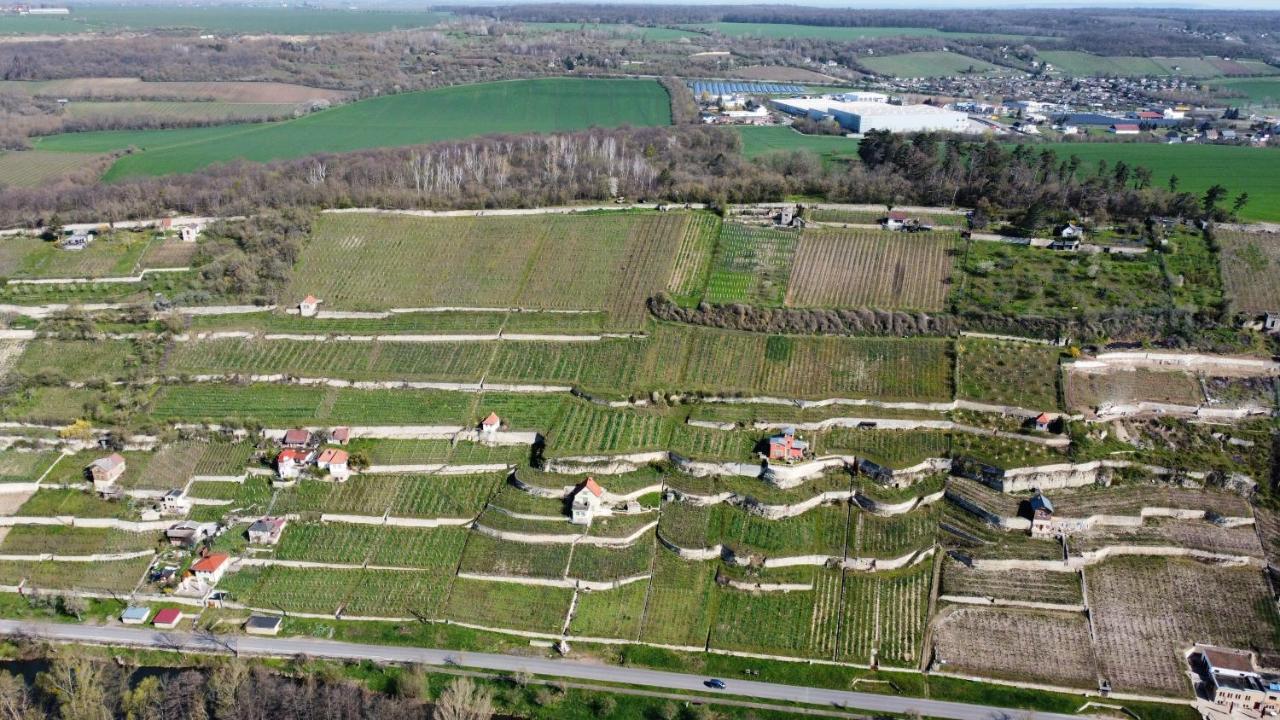 Ferienhaus Traminer Im Weinberg Freyburg Exterior photo