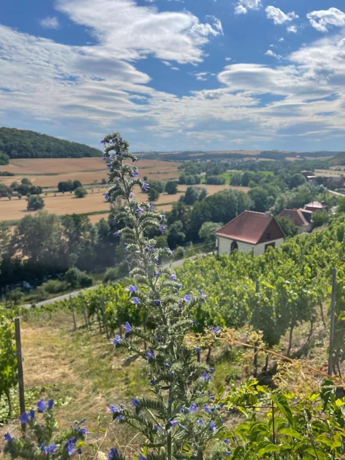 Ferienhaus Traminer Im Weinberg Freyburg Exterior photo